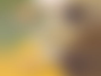 PrimaDéli: Ringing in the New Year with 25% Off Large Cakes