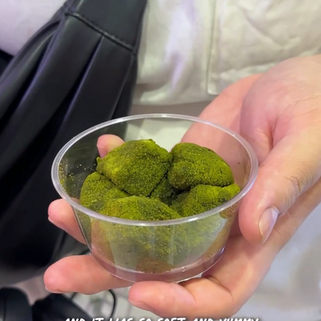 Maru Mochi
