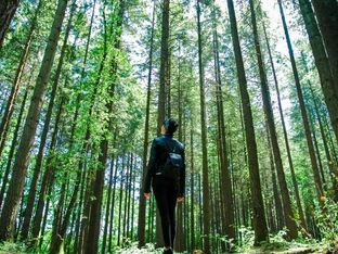 Simple Sustainable Travel Practices: Making a Difference, One Journey at a Time