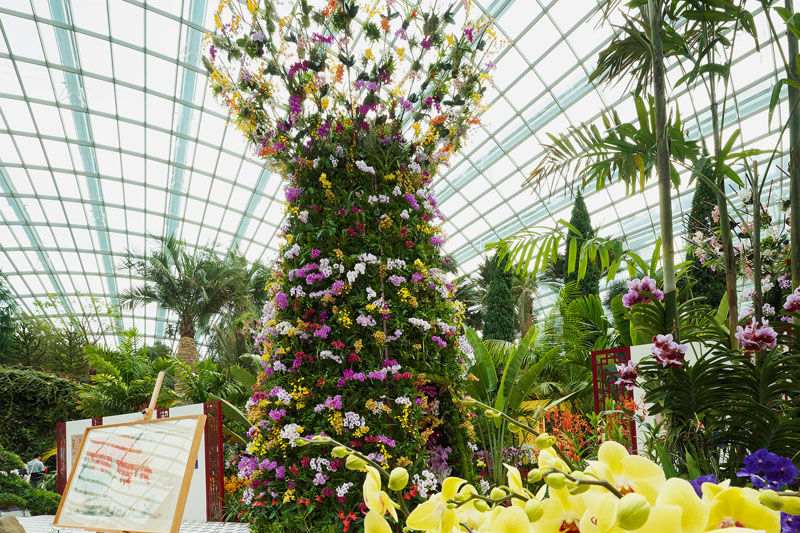 Tall floral display with colorful orchids fills greenhouse with glass roof. Lush greenery surrounds vibrant flowers, creating a lively atmosphere.
