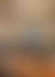 Scotts Grill interior space