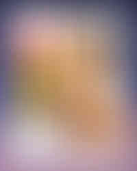 McDonald's McGriddles promotion