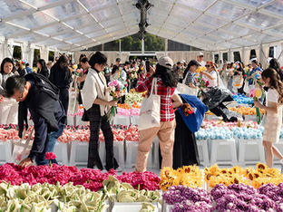 Free Plush Flowers Await at CJ Hendry’s Flower Market Singapore