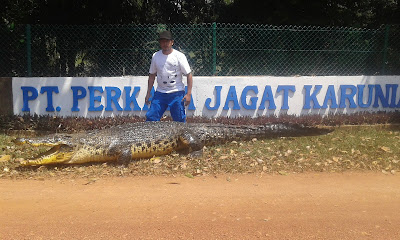 crocodile breeding facilities in Batam