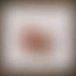 arabica versus robusta coffee