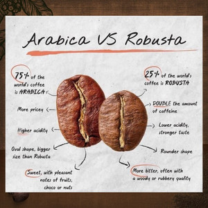 arabica versus robusta coffee
