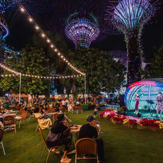 Christmas Wonderland at Gardens by the Bay