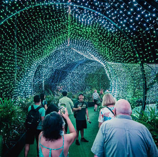 Christmas Wonderland at Gardens by the Bay