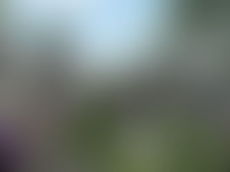 Rainforest Wild Asia: Singapore’s Fifth Wildlife Park Opens on 12 March 2025