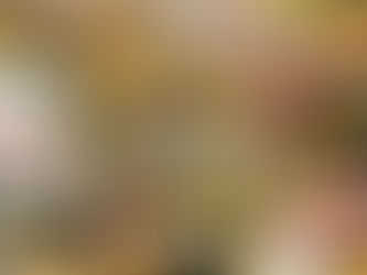 TWG Tea’s 1-for-1 Macaron Treat Returns