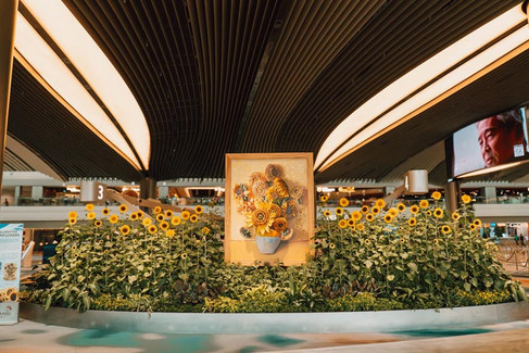 A Sunflower Sojourn at Changi Airport