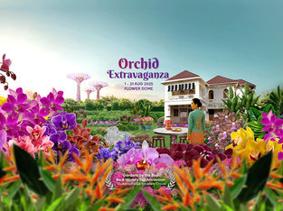 Orchid Extravaganza at Gardens by the Bay Celebrates SG60 with Heritage and Bloom