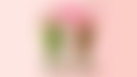 Tsujiri Serves Up 1-for-1 Ice Blended Treats for Mother’s Day