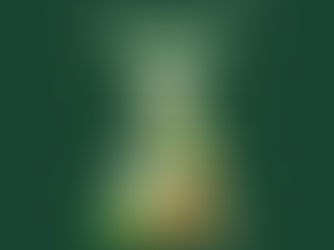 Shake Shack Celebrates Christmas With a 1-for-1 Shackmas Advent Calendar