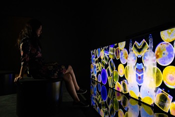 Plastic: Remaking Our World exhibition