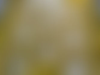 SFA Orders Recall of Four Seasons Mini Durian Mooncakes Due to Bacillus Cereus Contamination