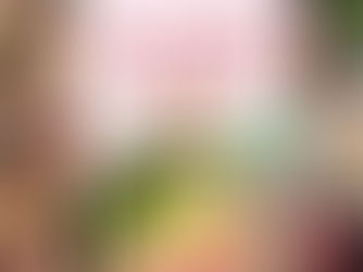 Suki-Ya's 1-for-1 Lunch Buffet: A Hotpot Feast Worth Sharing