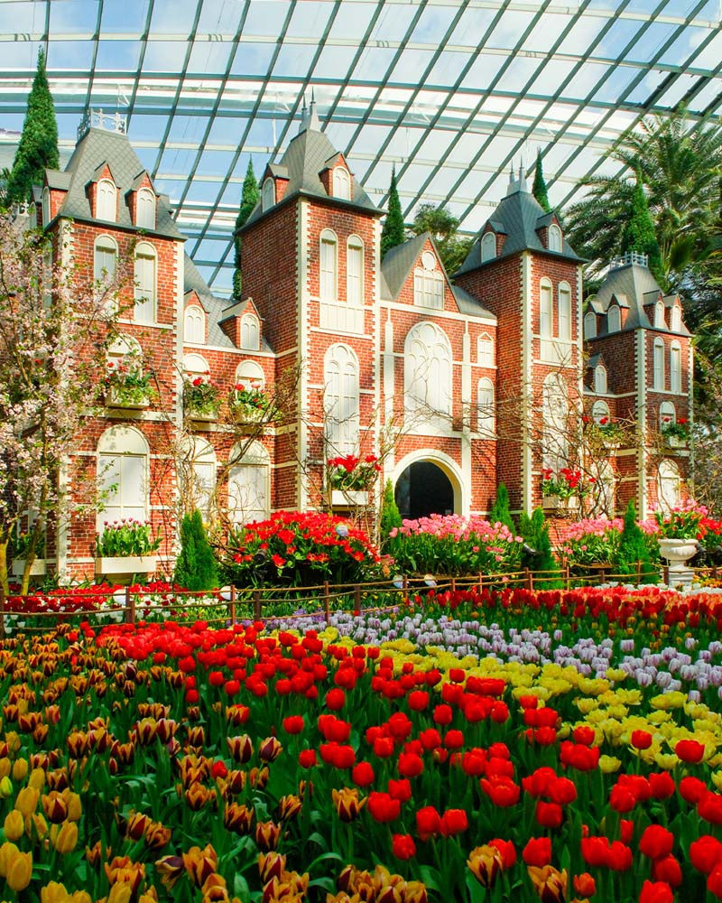 A brick castle facade with sharp rooftops stands amid vibrant tulip gardens in red, yellow, and purple under a vast glass roof.