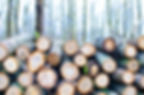 Stacked logs in a forest setting, with tree trunks in the background. Logs vary in size with visible rings, creating a calm, natural scene.
