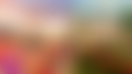 Tulipmania 2026 Returns to Gardens by the Bay with a Blooming Tribute to Dutch Art