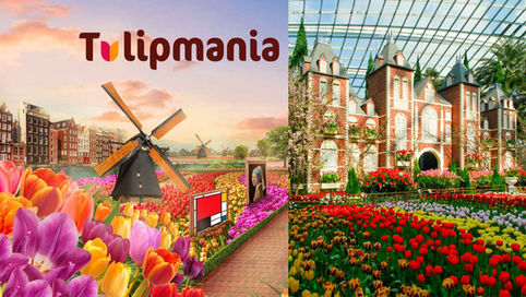 Tulipmania 2026 Returns to Gardens by the Bay with a Blooming Tribute to Dutch Art