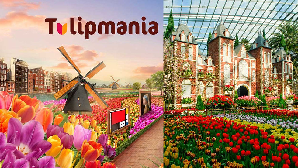 Tulipmania 2026 Returns to Gardens by the Bay with a Blooming Tribute to Dutch Art