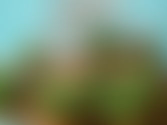 Muji's Small Exhibition in Plaza Singapura by Tatsuya Tanaka