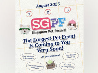 Singapore Pet Festival 2025: Experience the Largest Pet Celebration at Marina Bay Sands