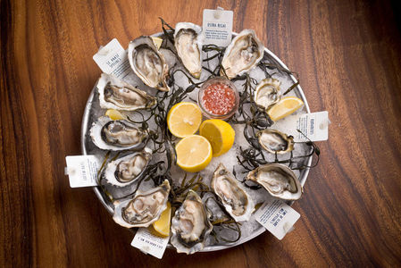 Greenwood Fish Market's 12th World Oyster Festival