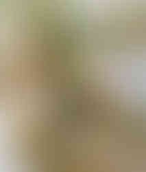 child eating and watching tv