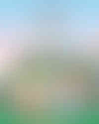 Hello Kitty's Move Lite Adventure