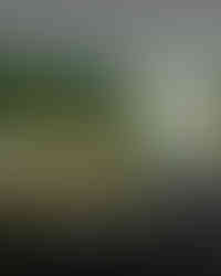 Ring in 2026: The Best Fireworks Viewing Spots in Sentosa for New Year's Eve