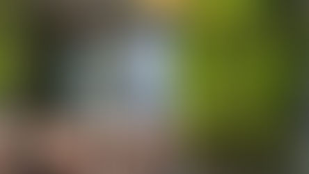 Bringing Life to Spaces: Using Greenery to Break the Monotone