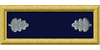 Leutenant Colonel.png