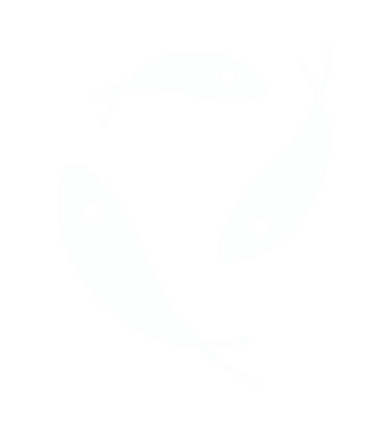 image 2.png