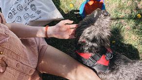 prayer amidst covid-19