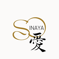 SOINAYA LOGO.png