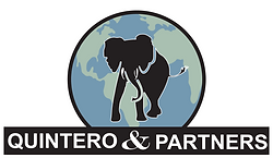 New Logo .png