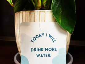 Are You Watering You? 💦