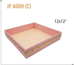JP-6009 (C).jpg