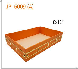 JP-6009 (A).jpg