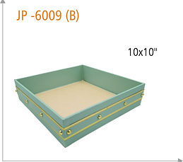 JP-6009 (B).jpg