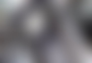 Triger Kayışı Değişimi ve Fiyatları