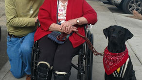 K9s 4 Mobility Team #19