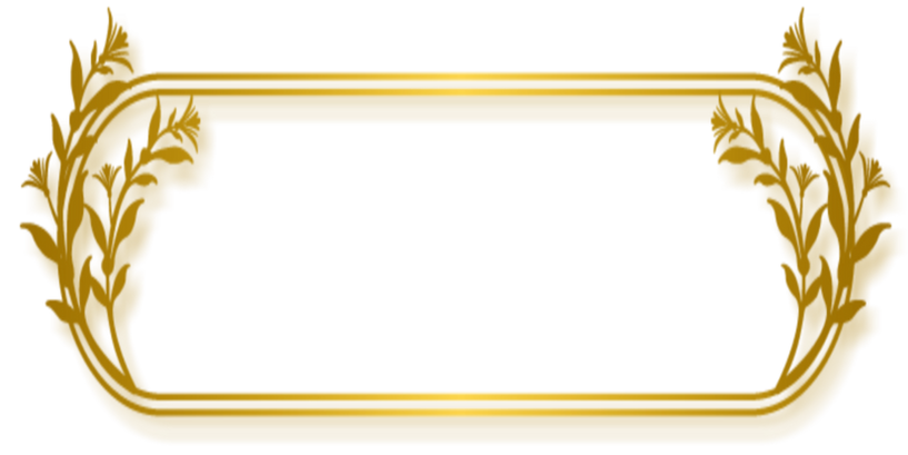 Untitled Project (33).png