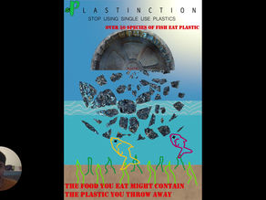 Client presentation for the posters