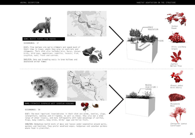 Book without bleed updated_compressed_page-0025.jpg