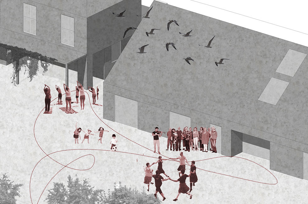 singing, dancing, exercising