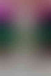 sage green ombre wedding cake with sugar flowers