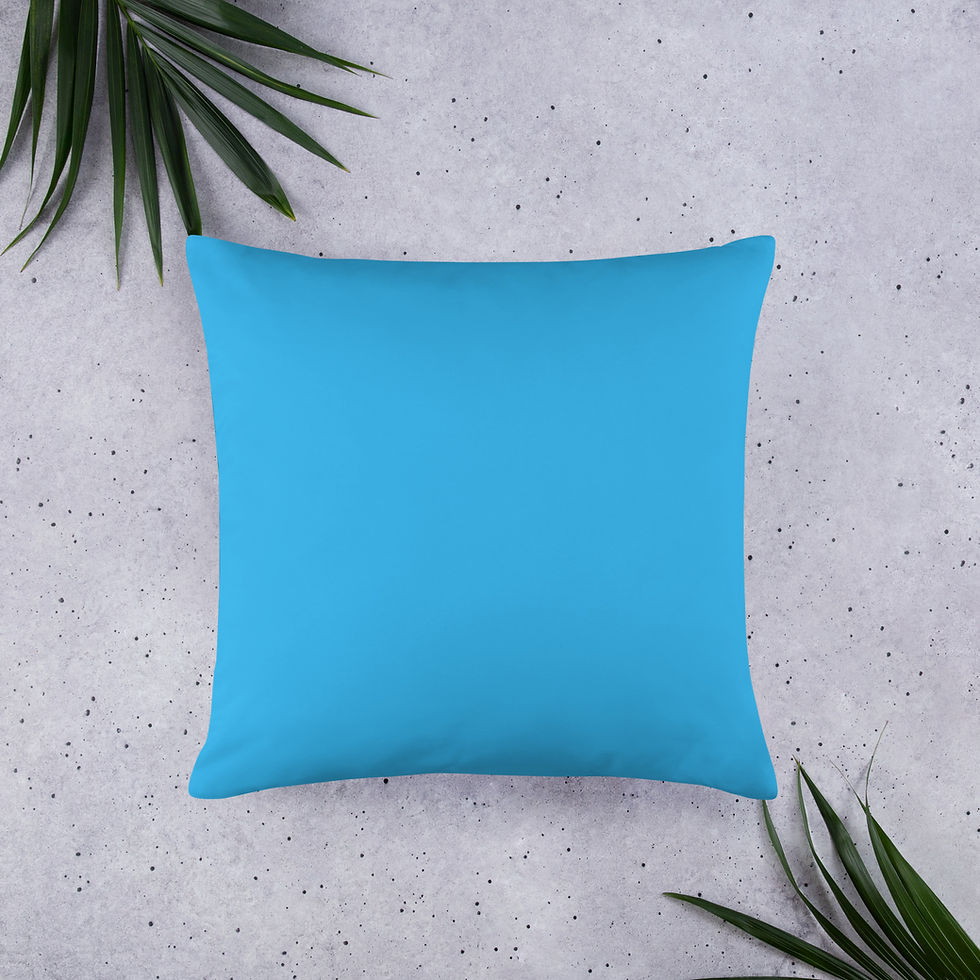 Thumbnail: Ajijak Basic Pillow
